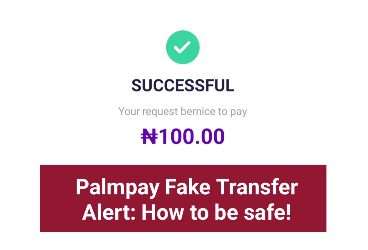 Palmpay fake transfer
