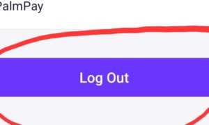 How to logout on Palmpay app