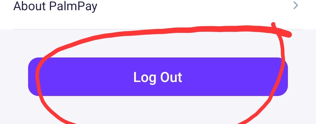 How to logout on Palmpay app